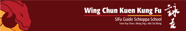 Wing Chun Kung Fu Caserta